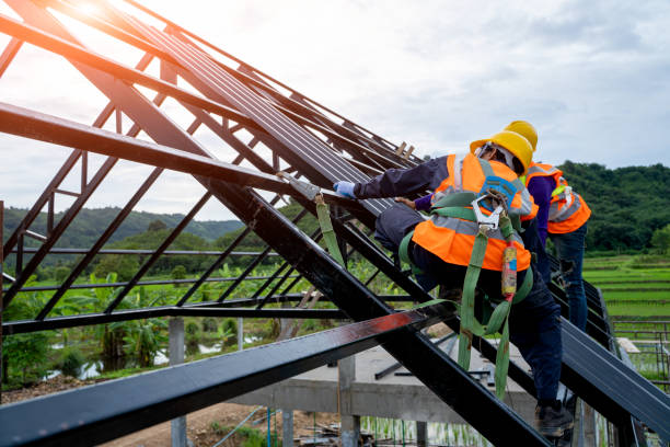 Best Storm Damage Roof Repair  in Morgantown, KY