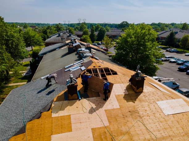 Best Flat Roof Repair Services  in Morgantown, KY