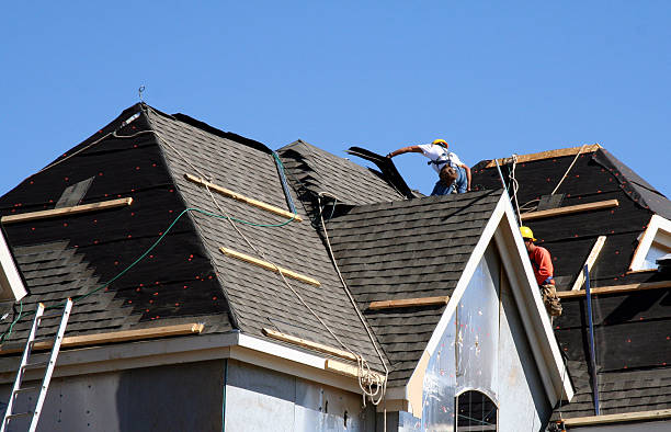 Best Metal Roofing Contractor  in Morgantown, KY