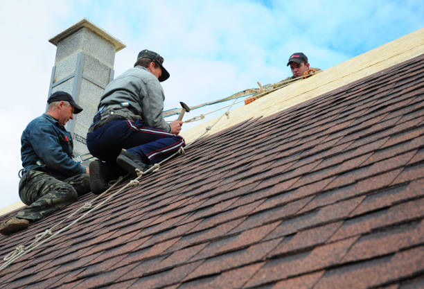 Best Roof Replacement Cost  in Morgantown, KY